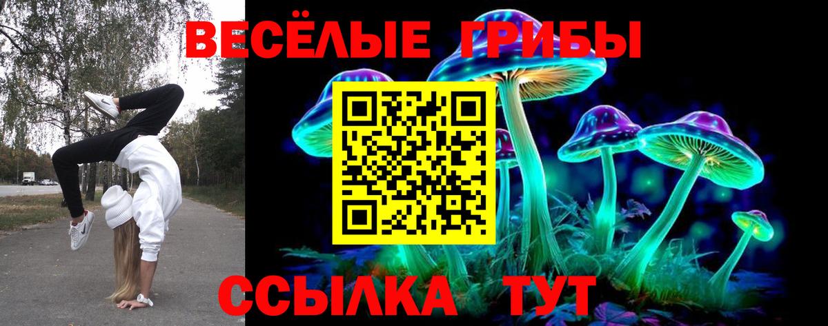 Псилоцибиновые грибы Psilocybine cubensis Волжский